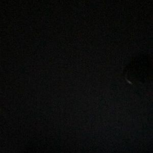 Meet your Posher, Harrison